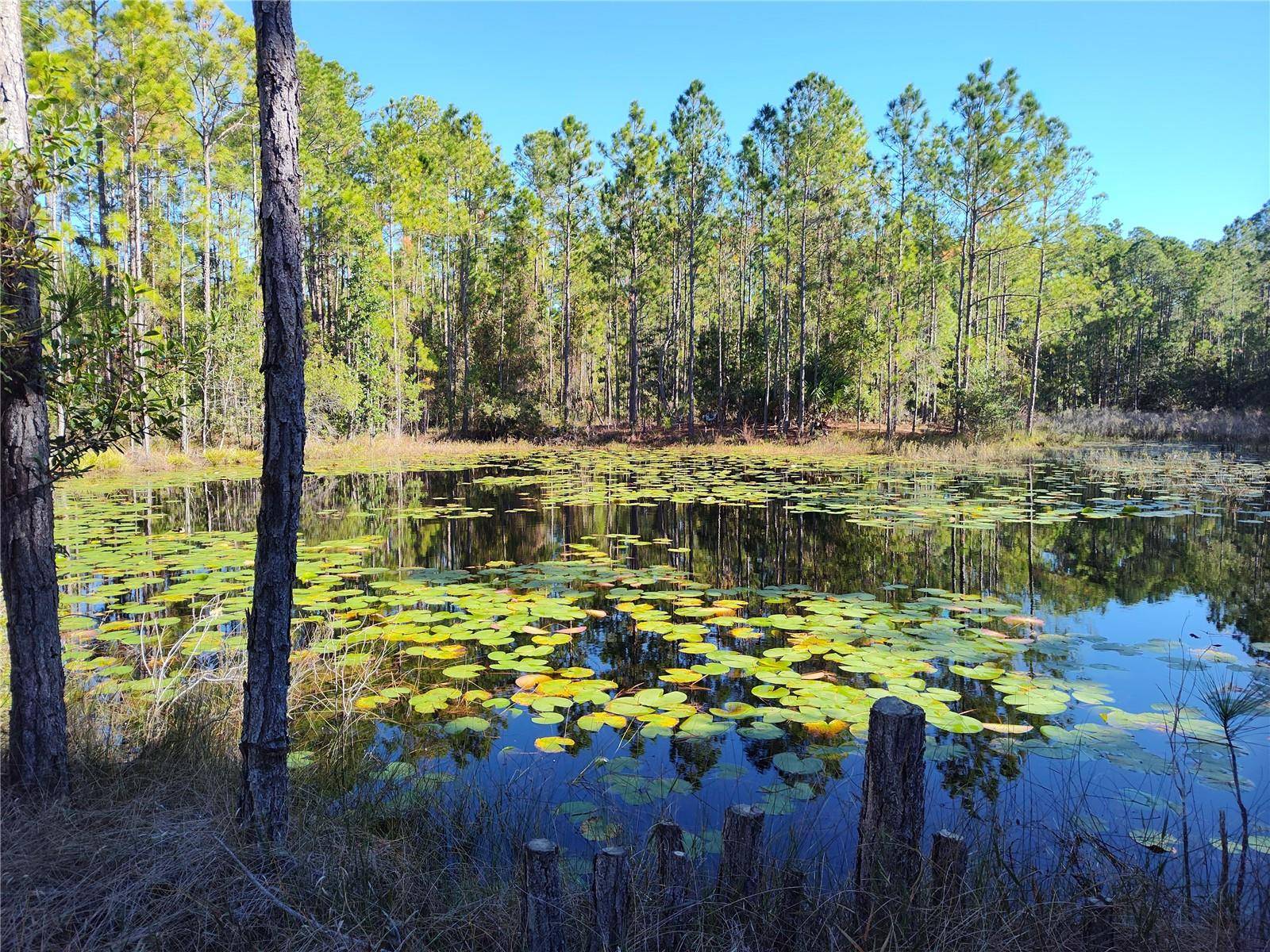 Astor, FL 32102,SMITH ST