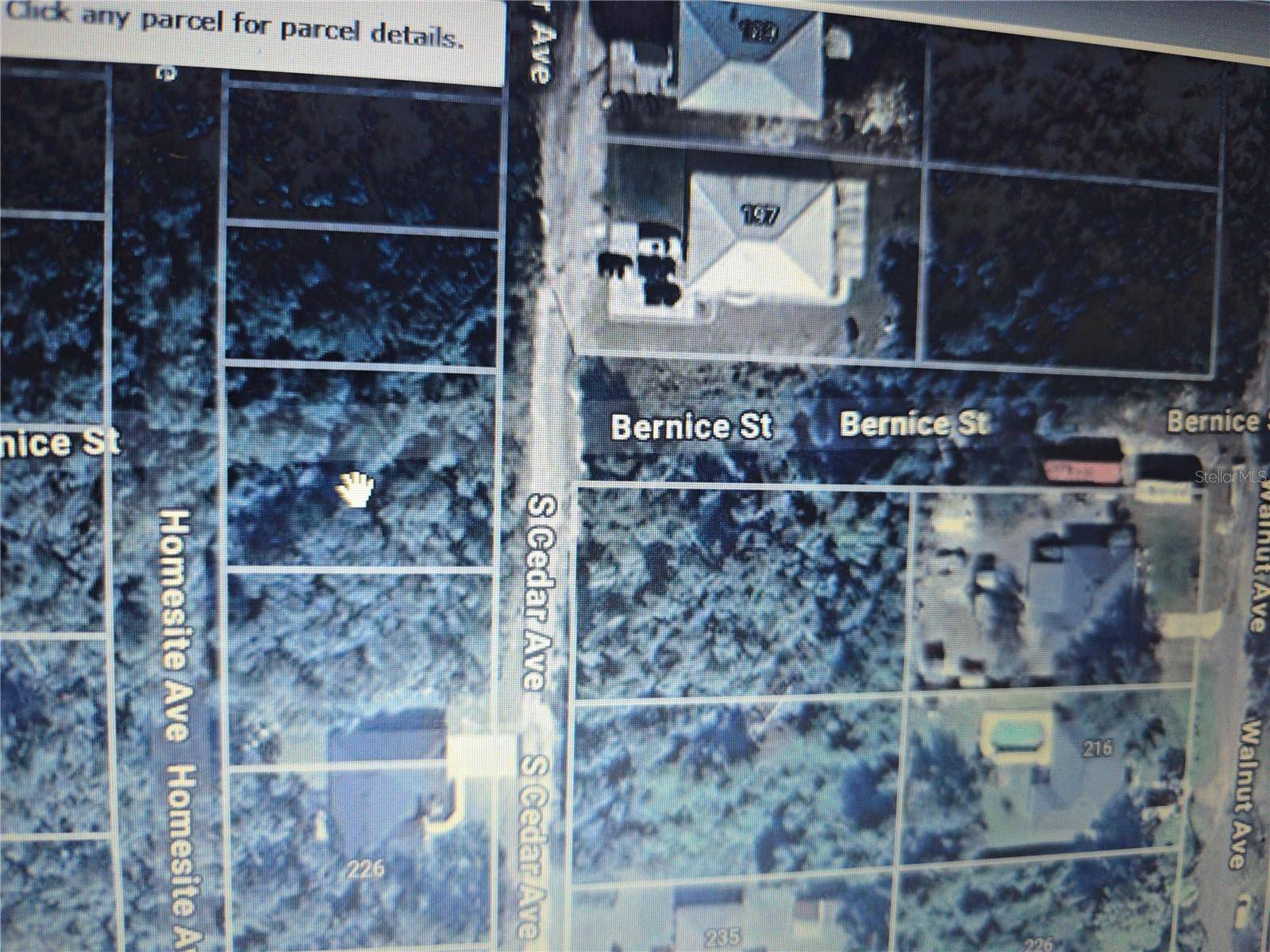Orange City, FL 32763,CEDAR AVE