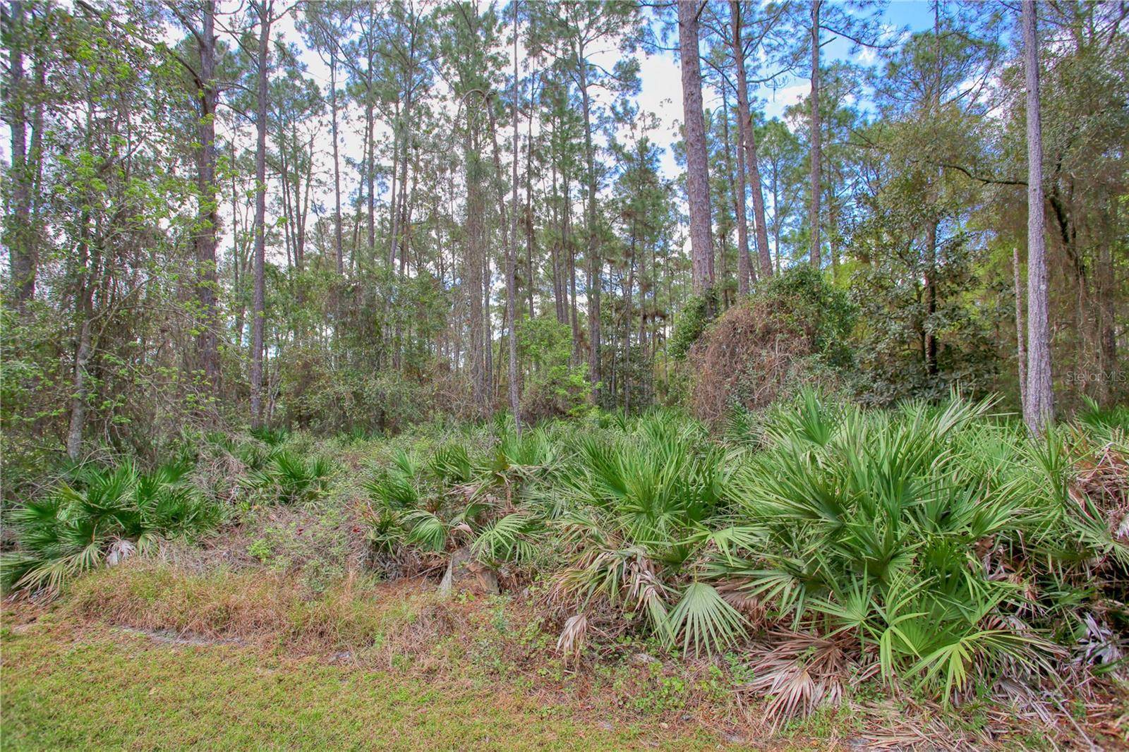 Debary, FL 32713,421 W HIGHBANKS RD