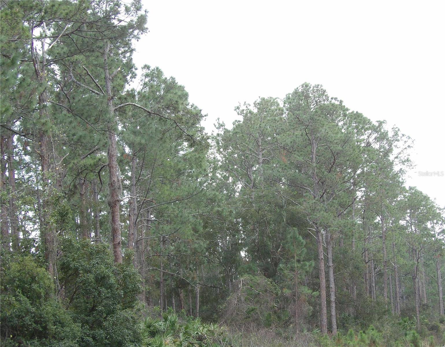 Deland, FL 32724,DELAND, FL 32724