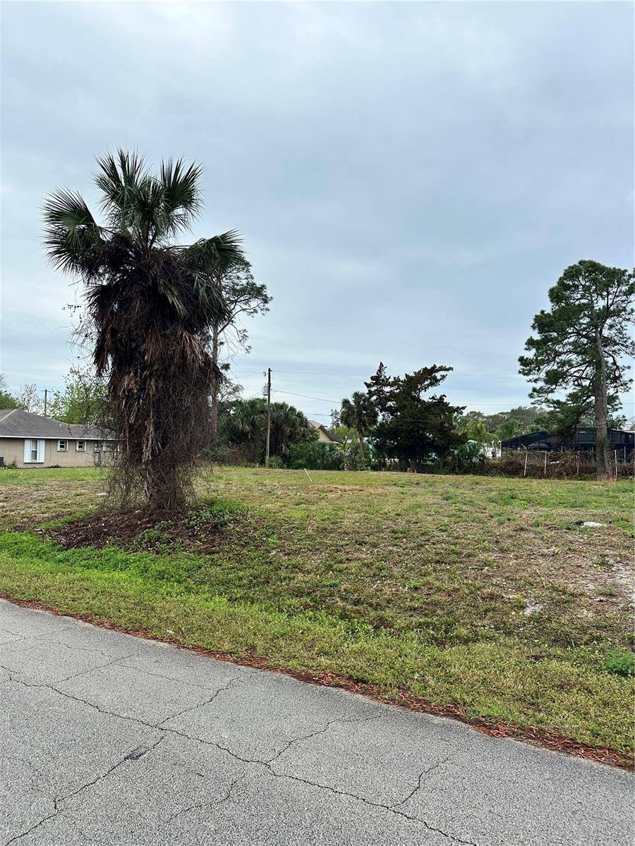 Edgewater, FL 32141,3128 INDIA PALM DR