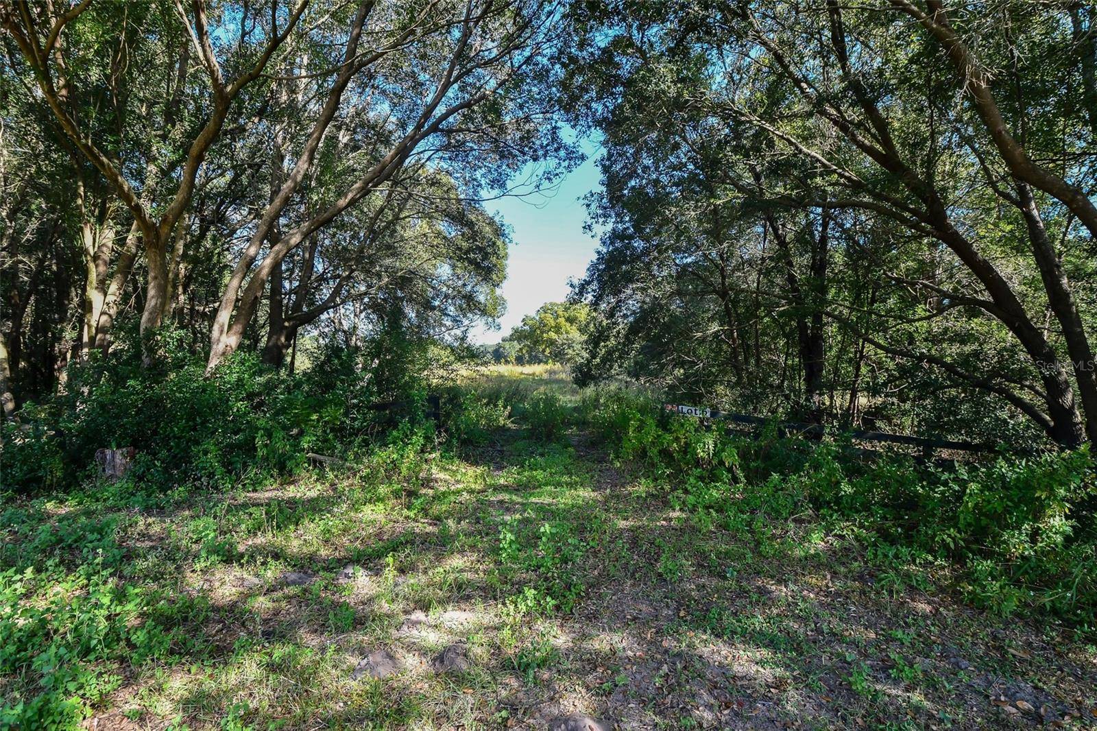 Eustis, FL 32736,TREE FROG LN