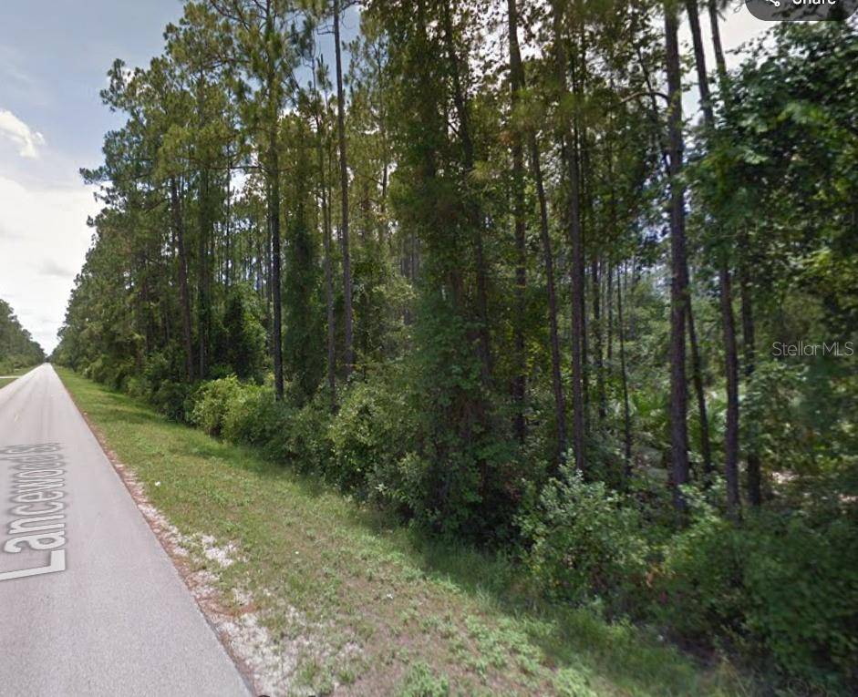 Bunnell, FL 32110,2164 LANCEWOOD ST