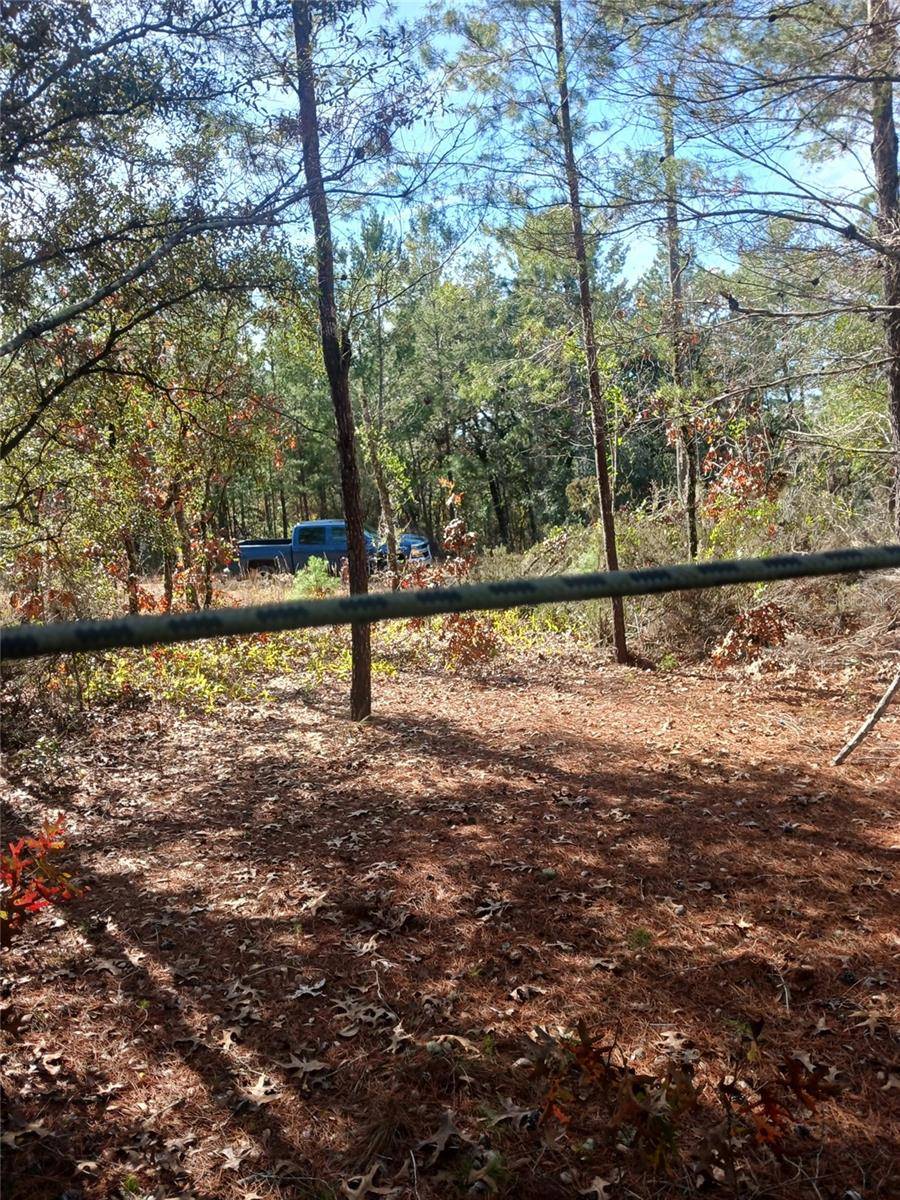 Interlachen, FL 32148,Lot 11 LAKE LUCY CIRCLE