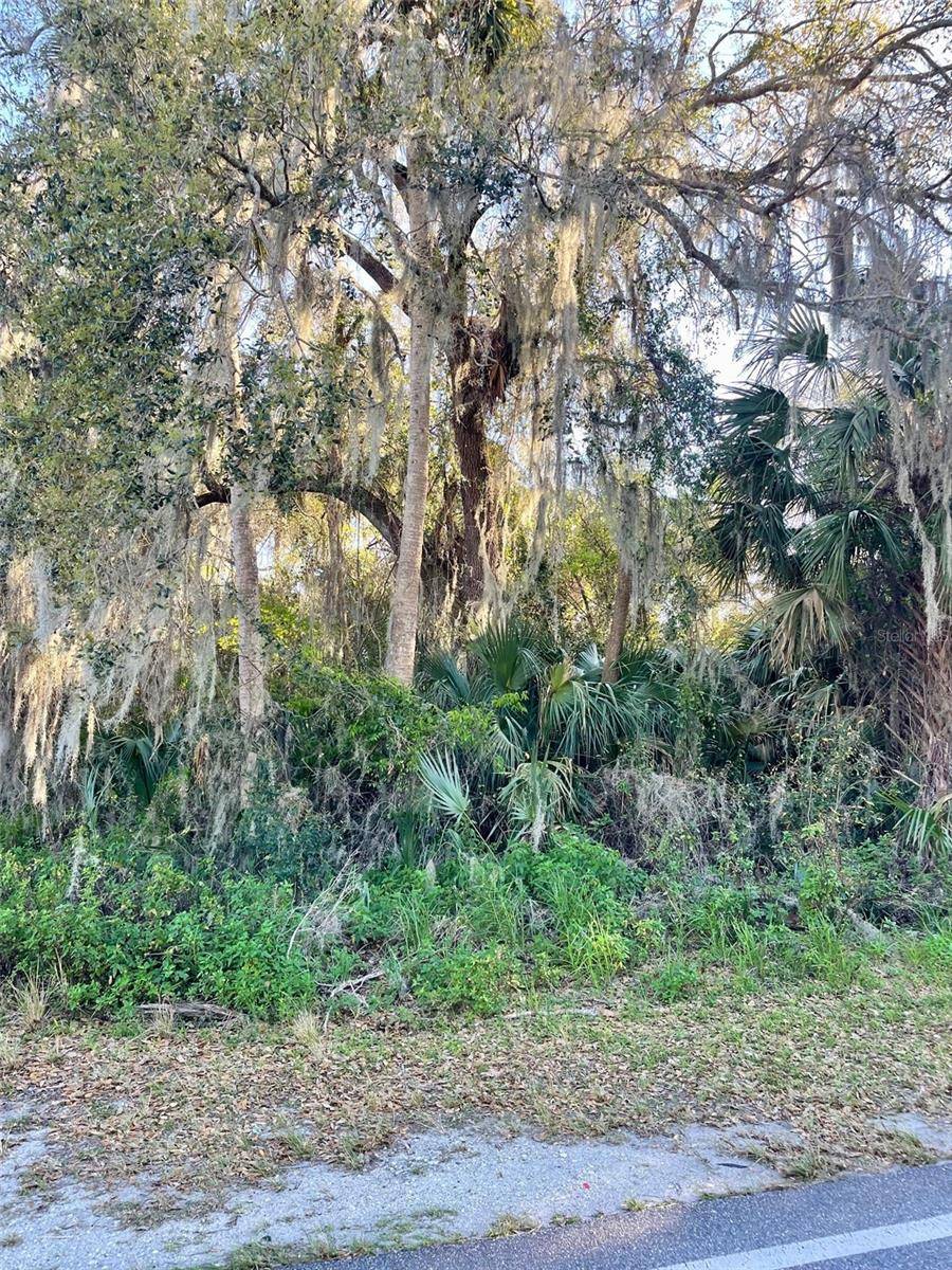 Osteen, FL 32764,OSTEEN MAYTOWN RD