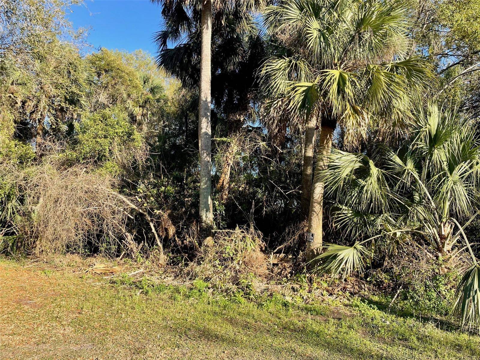 Osteen, FL 32764,OSTEEN MAYTOWN RD