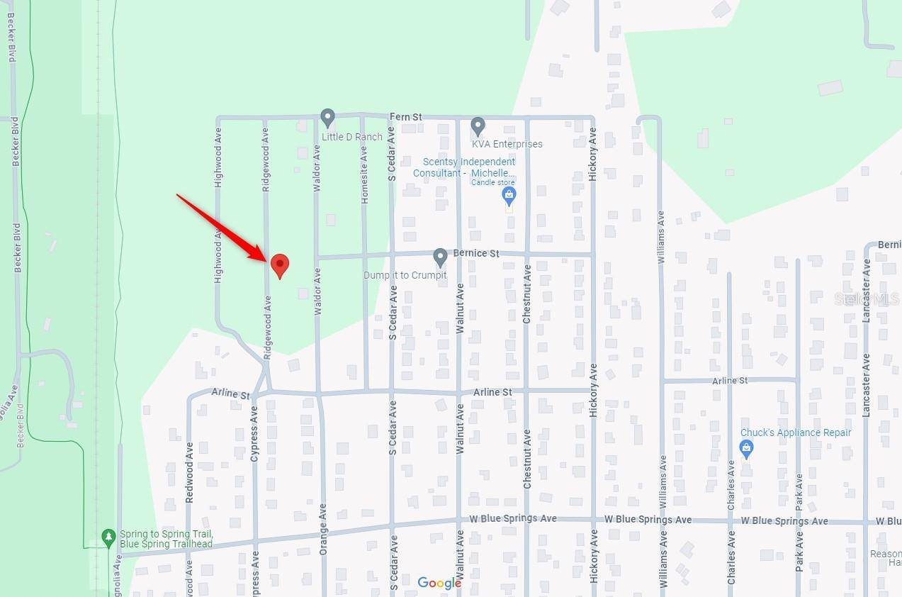 Orange City, FL 32763,235 RIDGEWOOD AVE