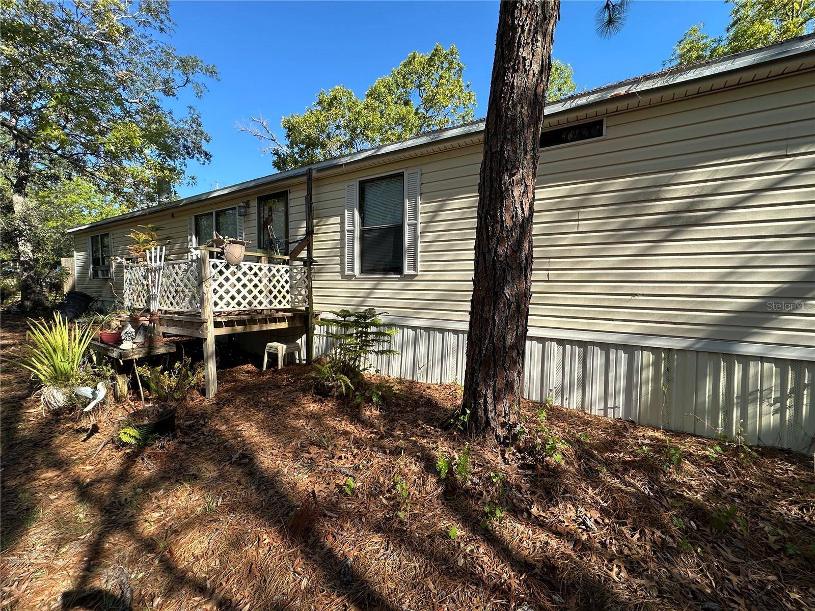 Hudson, FL 34667,11351 JOY LN