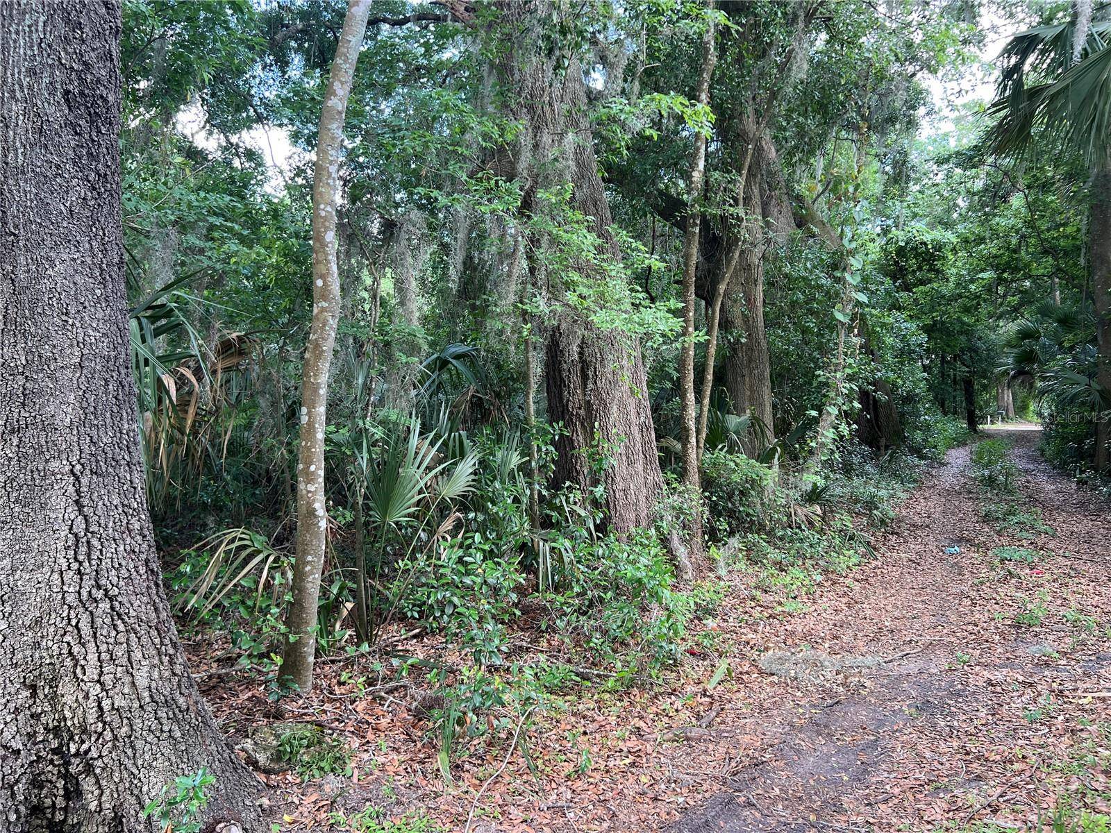 Reddick, FL 32686,16075 NW 37TH TER