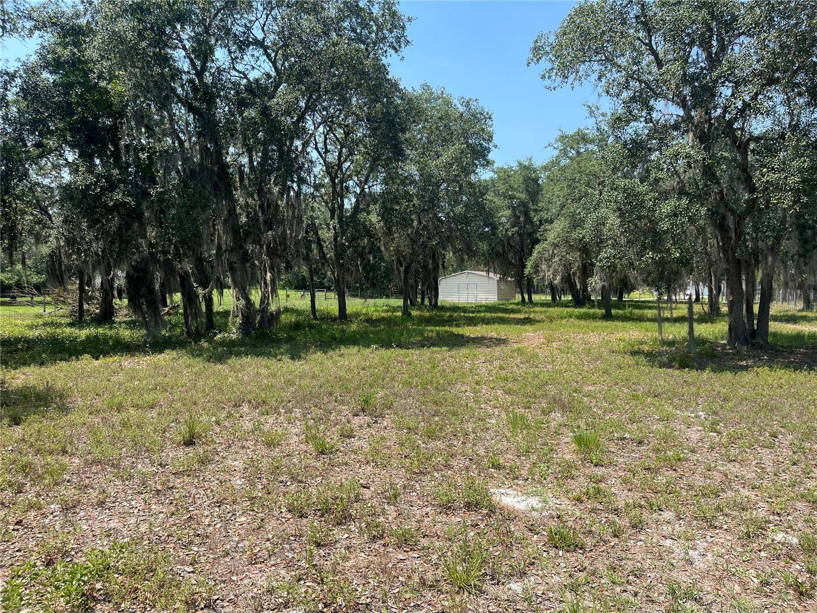 Pierson, FL 32180,SHAW LAKE RD