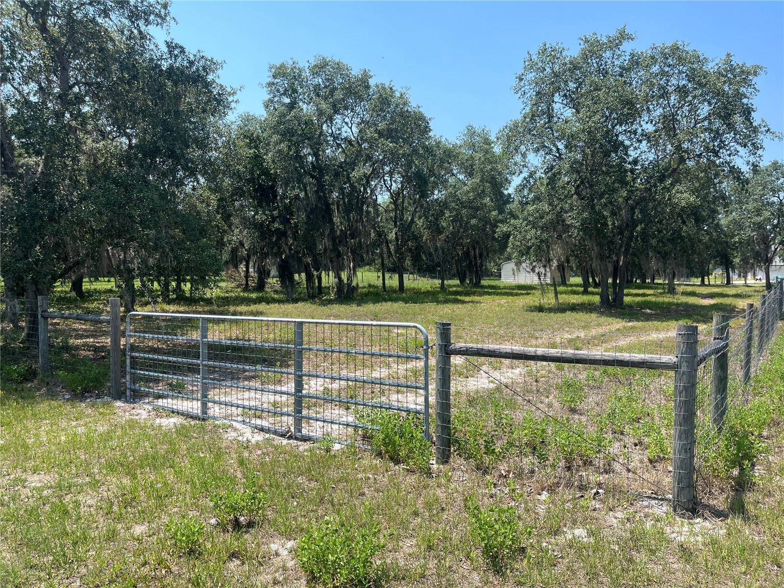 Pierson, FL 32180,SHAW LAKE RD