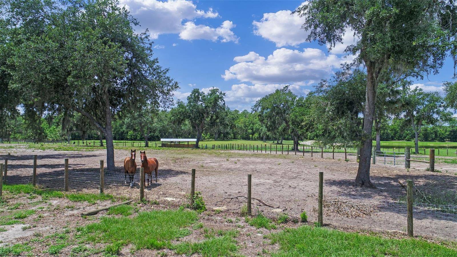 De Leon Springs, FL 32130,4940 STATE ROAD 11