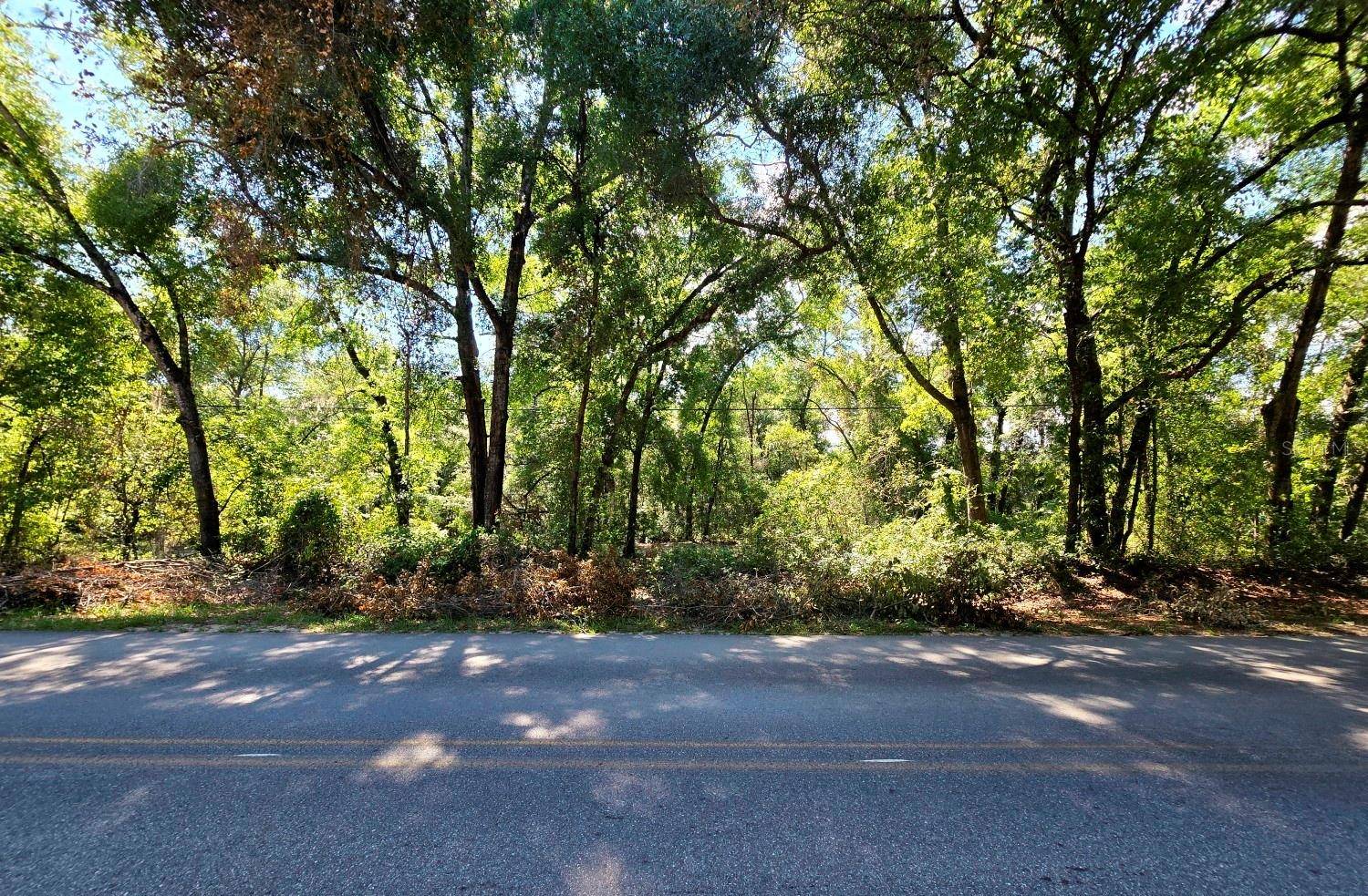 Melrose, FL 32666,162 PUTNAM LOOP RD