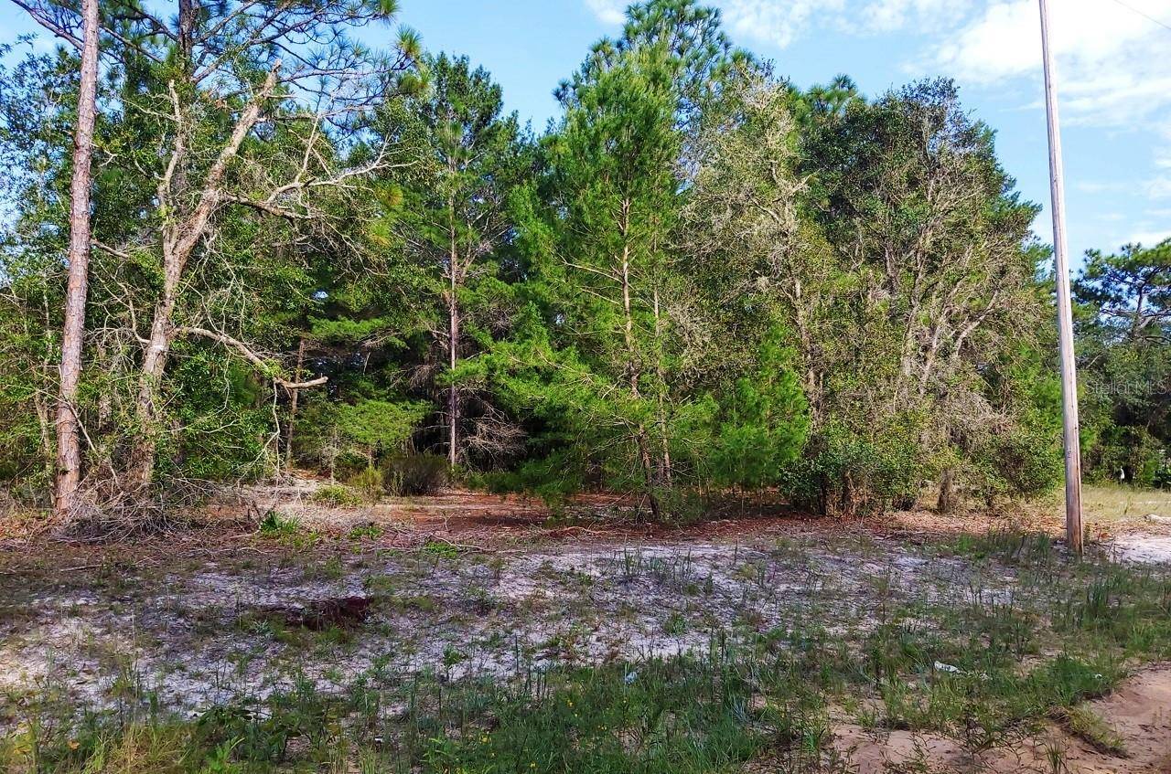 Interlachen, FL 32148,DONOVAN AVE