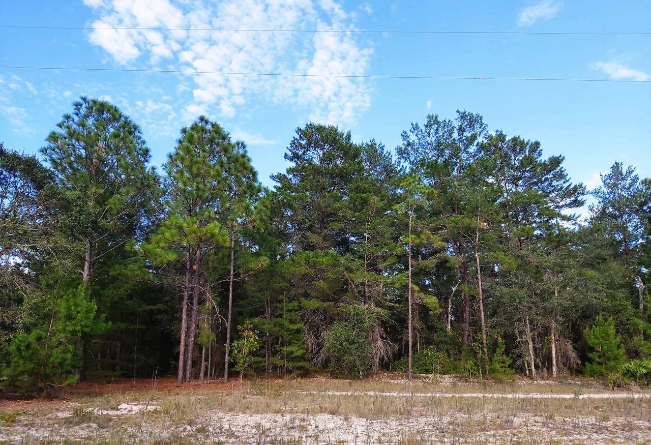 Interlachen, FL 32148,DONOVAN AVE