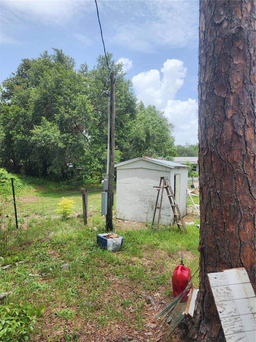 Paisley, FL 32767,27729 LUELLA AVE