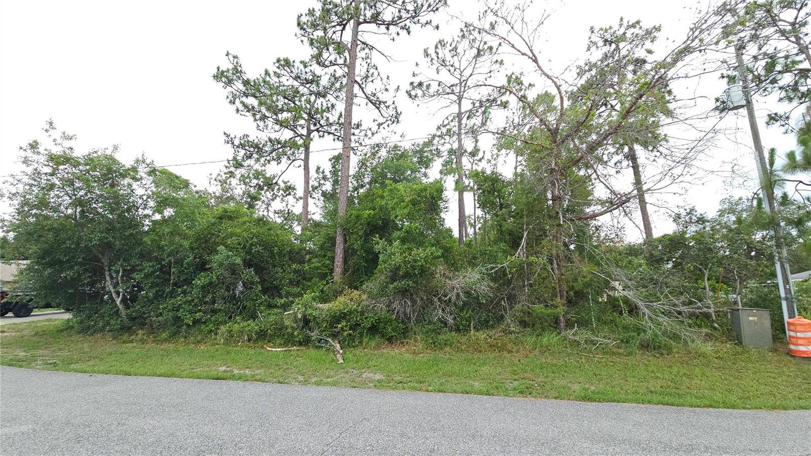 Deltona, FL 32738,1349 LODGE TER