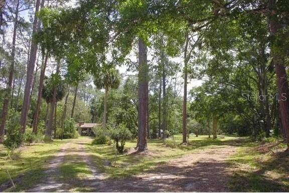 New Smyrna Beach, FL 32168,3616 WATERMELON LN