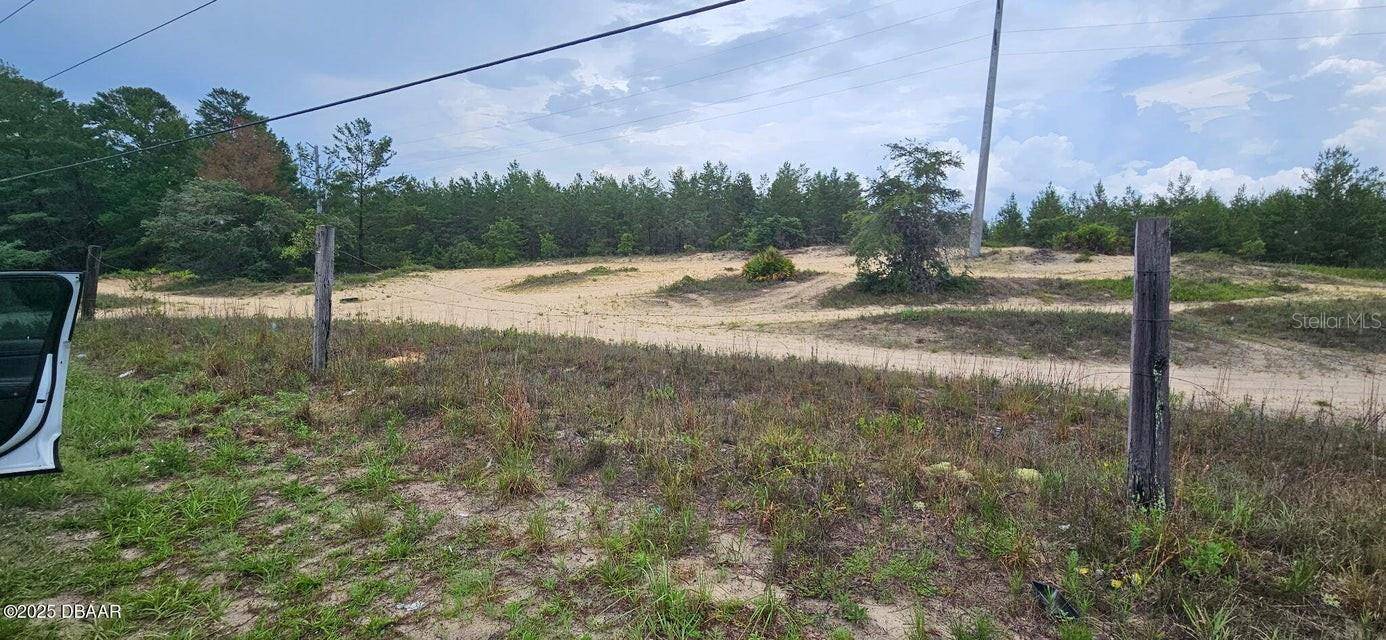 Satsuma, FL 32189,220 RIDGE RD