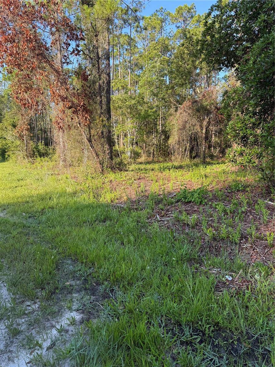 Bunnell, FL 32110,2366 DOGWOOD ST
