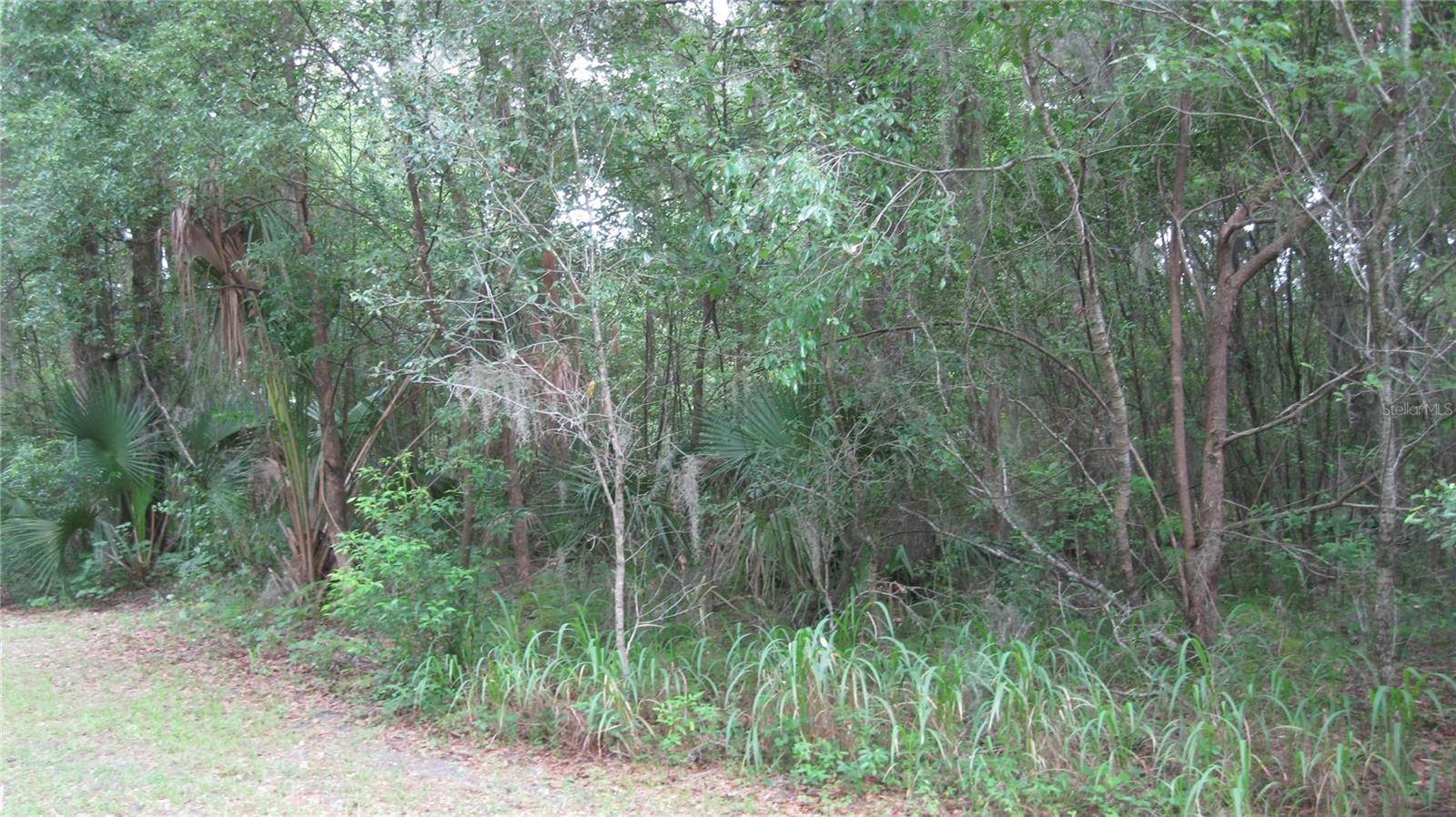Deland, FL 32720,OAK VALLEY DR