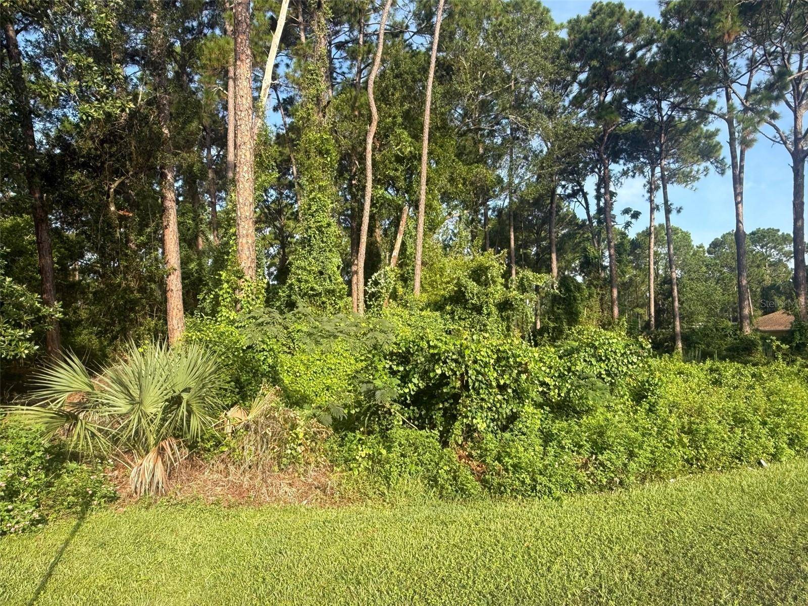 Debary, FL 32713,40 DIAL AVE
