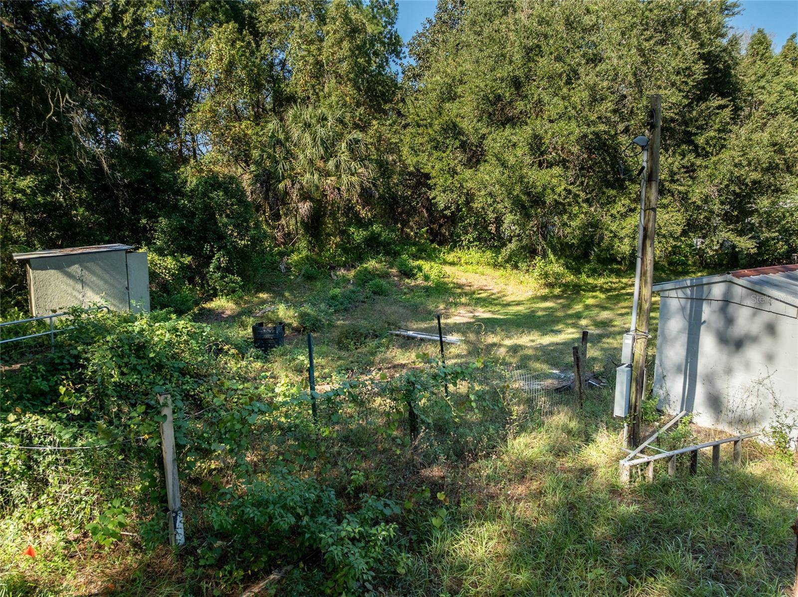 Paisley, FL 32767,27726 LUELLA AVE