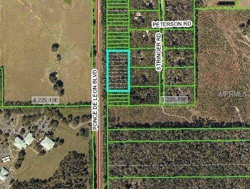 Brooksville, FL 34601,00 PONCE DE LEON BLVD