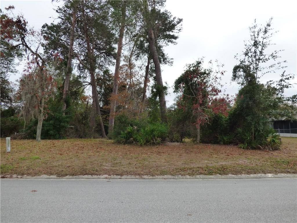 Hudson, FL 34667,10111 BRIAR CIR