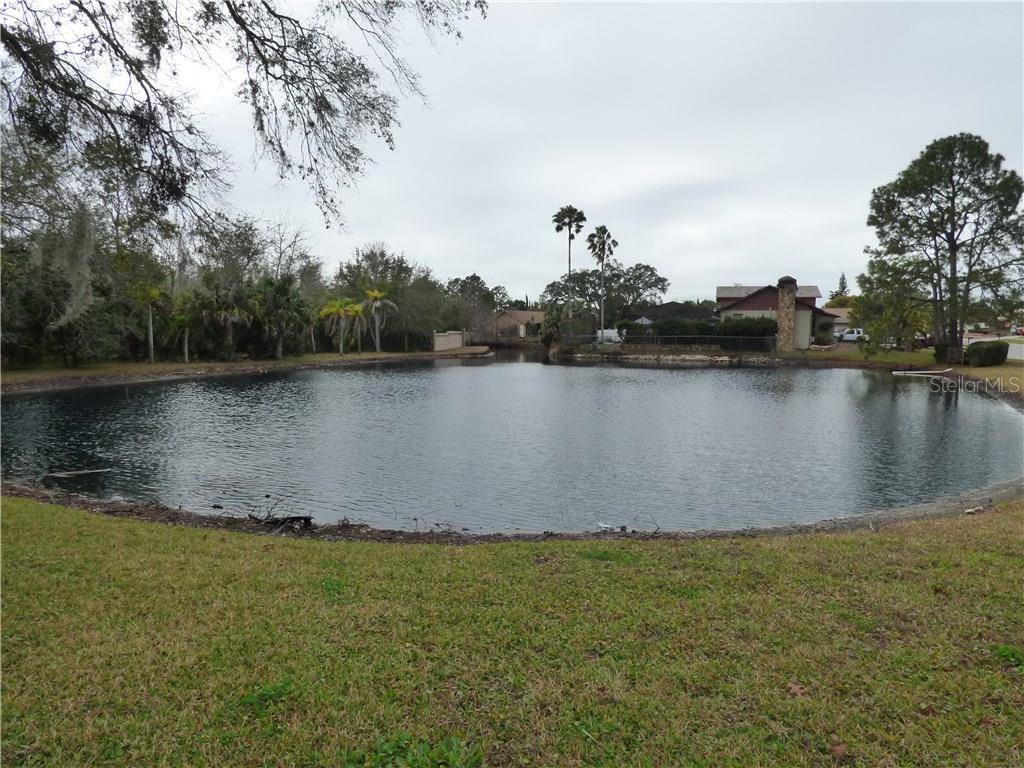 Hudson, FL 34667,10166 BRIAR CIR