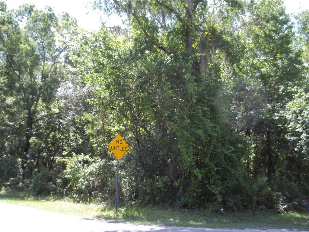 New Port Richey, FL 34654,0 LAKE DR