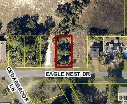 Hernando Beach, FL 34607,3605 EAGLE NEST DR
