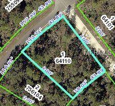 Brooksville, FL 34613,12089 JAYBIRD RD