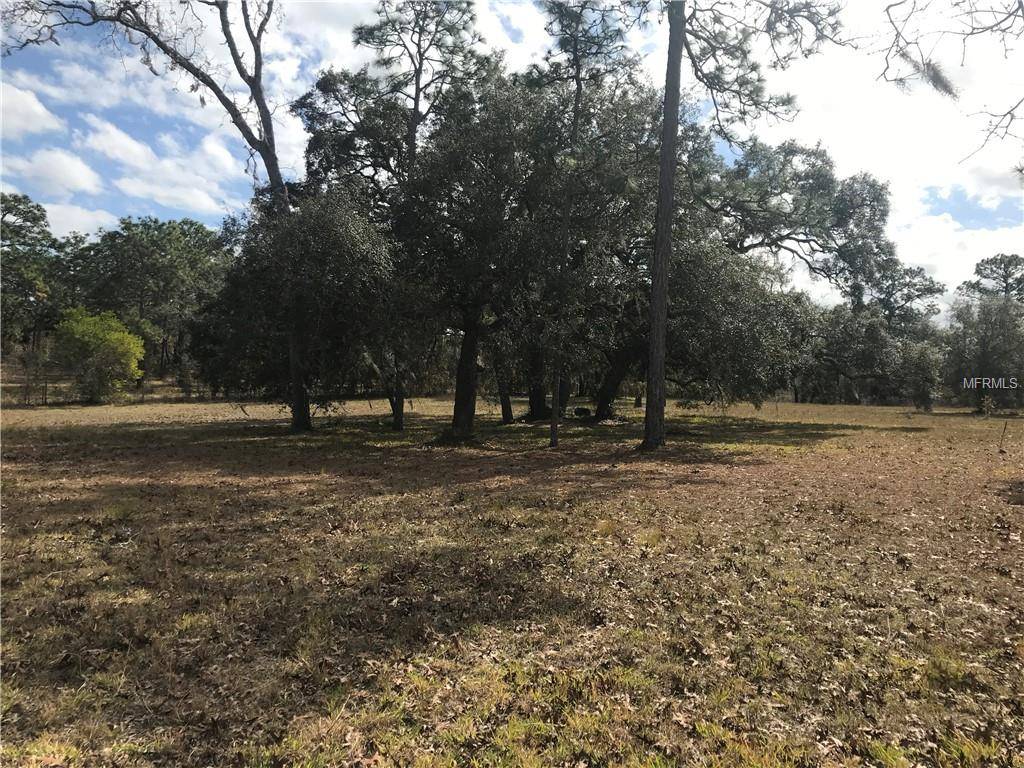 Hudson, FL 34667,12316 BEAGLE RD