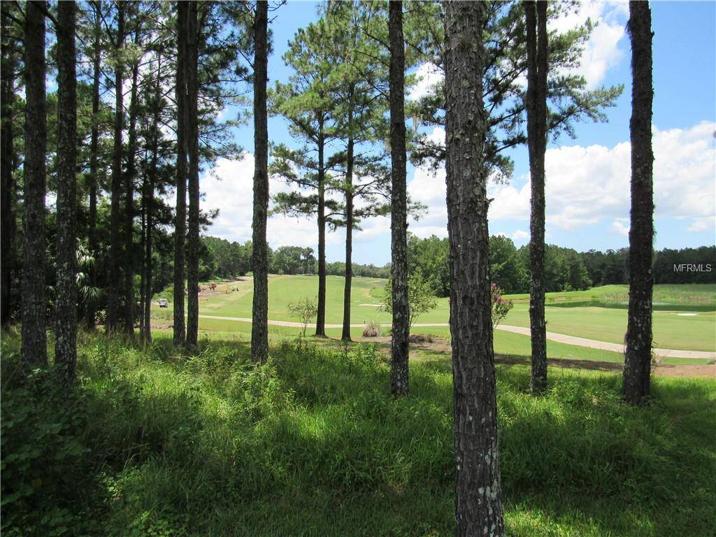 Brooksville, FL 34601,000 MAJESTIC HILLS LOOP