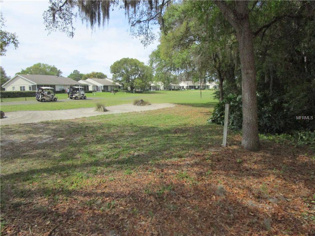 Hudson, FL 34669,13219 MOLITOR CT