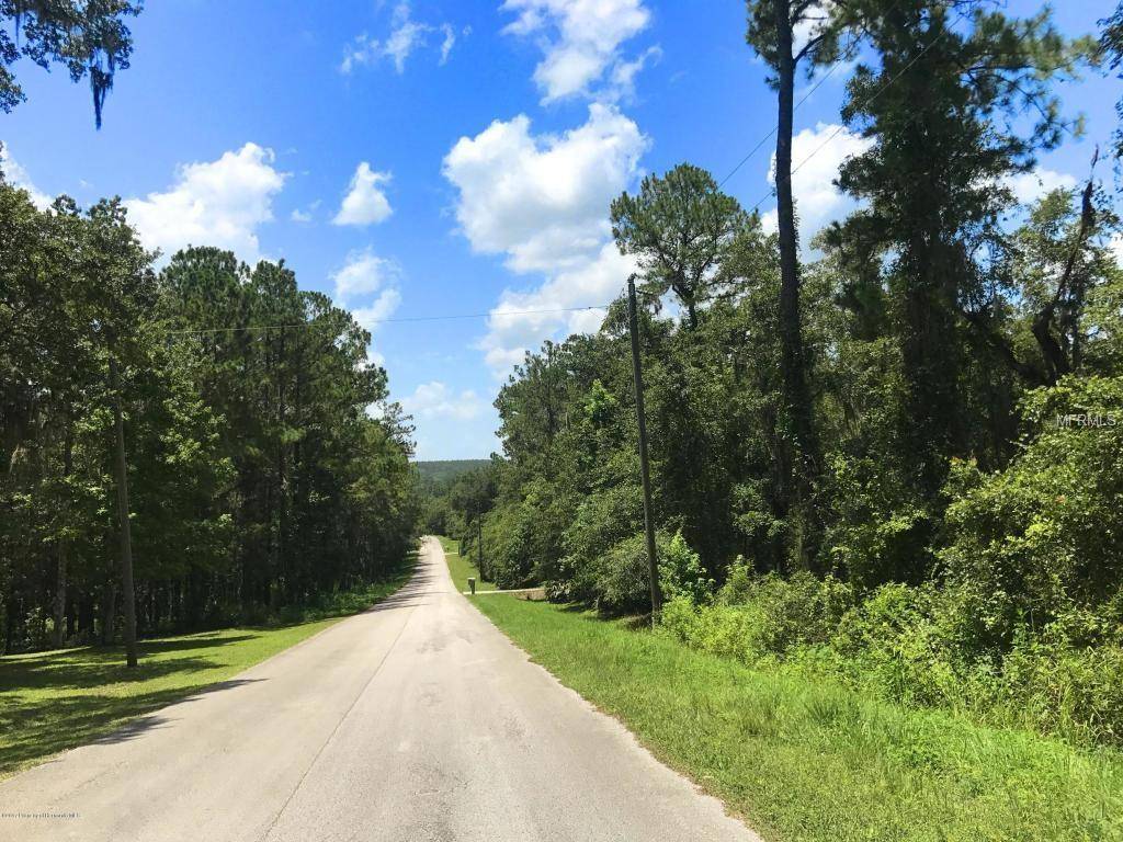 Brooksville, FL 34602,22729 SKYVIEW CIR