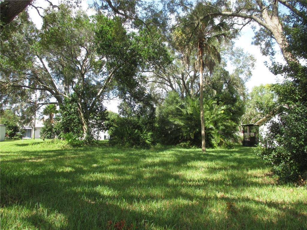 Spring Hill, FL 34608,0 DUPONT AVE