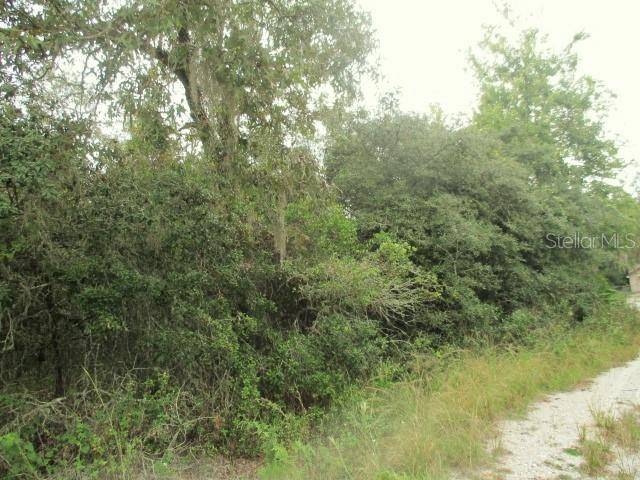 New Port Richey, FL 34654,Lot 1-6 HAGAR DR