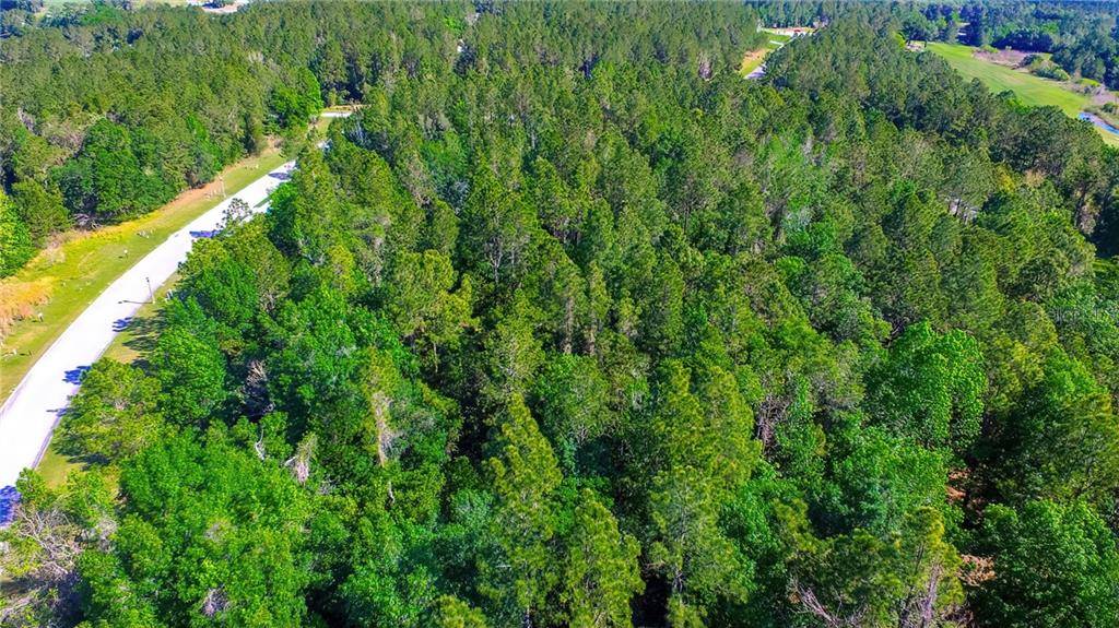 Brooksville, FL 34601,4537 MAJESTIC HILLS LOOP