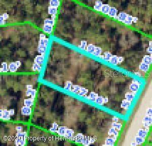 Brooksville, FL 34601,4028 SOUTHERN VALLEY LOOP