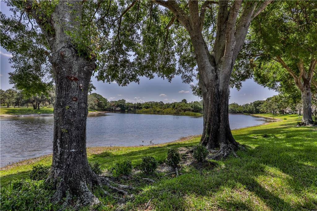 Weeki Wachee, FL 34613,7572 HEATHER WALK DR