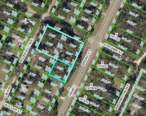 Brooksville, FL 34604,0 BROAD ST