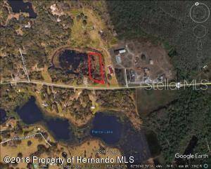 Land O Lakes, FL 34638,00 FL-52
