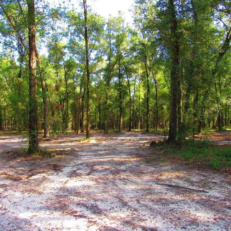 Brooksville, FL 34601,HIDDEN WOODS RD
