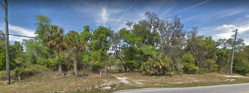 Brooksville, FL 34601,16305 WISCON RD