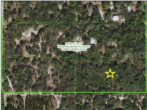 Hudson, FL 34667,COYOTE RD