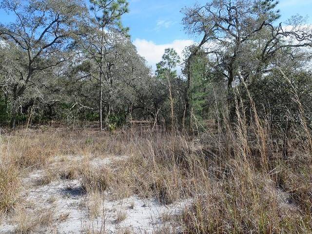 Hudson, FL 34667,COYOTE RD