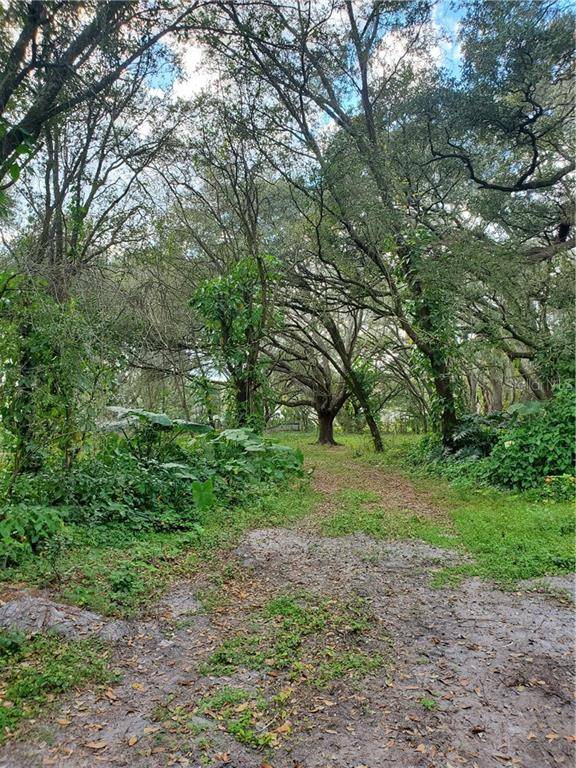 Zephyrhills, FL 33543,4023 LADO DRIVE