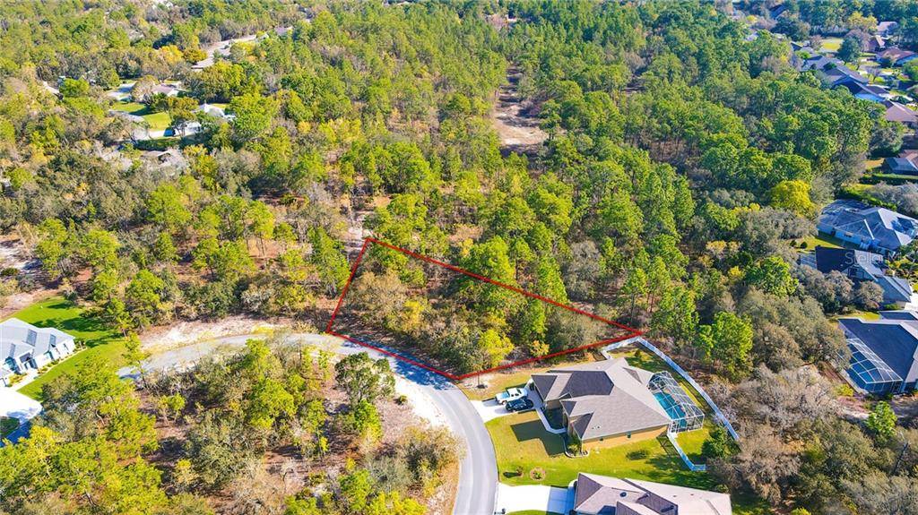 Homosassa, FL 34446,29 BLACK WILLOW CT N